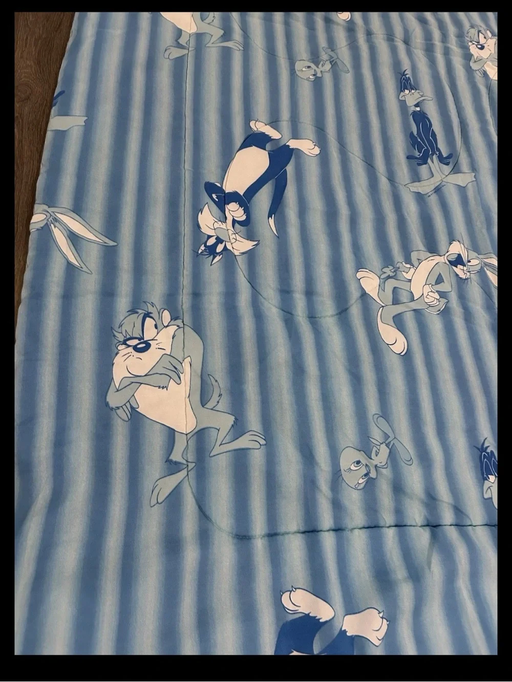 Vintage Warner Bros Looney Tunes Bedspread Twin Bugs Taz Sylvester Tweety Daffy